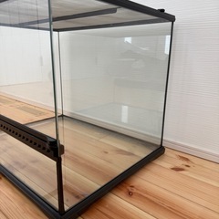 エキゾテラ GEX EXOTERRA グラステラリウム 6045 PT2610 両開きフロントドア 爬虫類飼育ケージ W61.5×D46.5×H48cmの画像