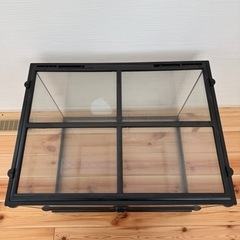 エキゾテラ GEX EXOTERRA グラステラリウム 6045 PT2610 両開きフロントドア 爬虫類飼育ケージ W61.5×D46.5×H48cmの画像