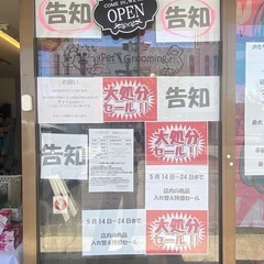 処分価格で販売します。