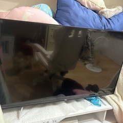 43インチ　テレビ