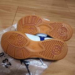 (試着のみ)体育館シューズ サイズ23.0の画像