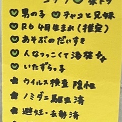 遊ぶの大好き🍀コテツ君🐾 − 福岡県