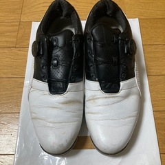 プーマ Boa ゴルフシューズ の画像