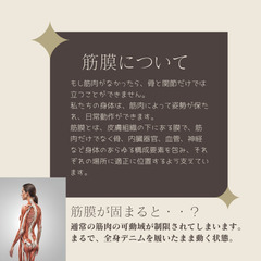 5/12・19 筋膜リリースストレッチクラスの画像