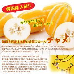 チャメ(マクワウリ)苗の画像