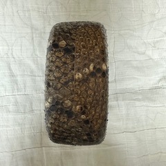 三線 チーガ の画像