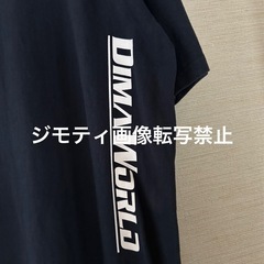 90年代　古着　シュアプレイ　SUREPLAY Tシャツ　XLの画像