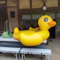浮き輪　アヒルなどまとめて