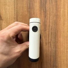 ボントレガー　ライトの画像