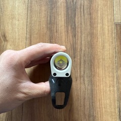 ボントレガー　ライトの画像