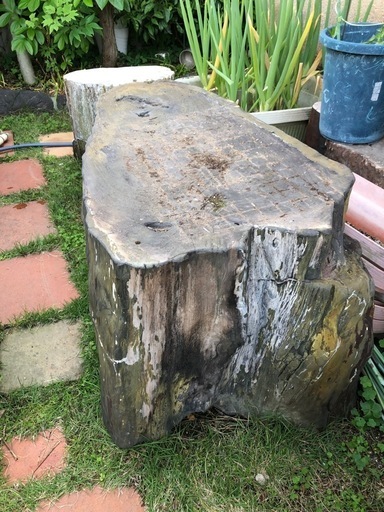 貴重な木化石のスツールとテーブル