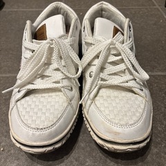 EDWIN 25.5センチ の画像