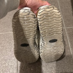 EDWIN 25.5センチ の画像