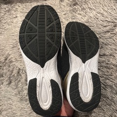 シュンソク　黒22センチの画像