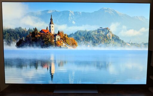 引取限定】【美品・保証残有】LG G2 有機ELテレビ (65インチ・2022年