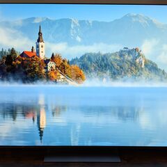 【引取限定】【美品・保証残有】LG G2 有機ELテレビ (65...