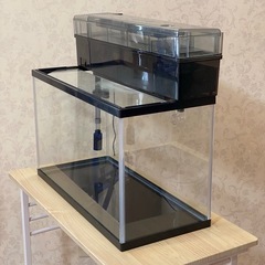 60cmスリム水槽と上部フィルターセット (massoki) てだこ浦西のその他