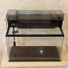60cmスリム水槽と上部フィルターセット (massoki) てだこ浦西の