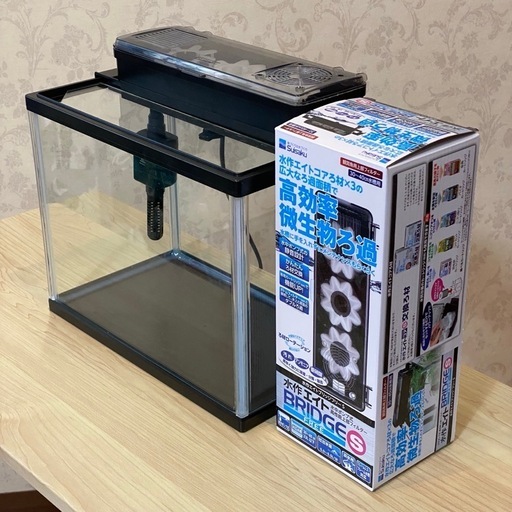 30cm水槽と上部フィルターセット (massoki) てだこ浦西のその他