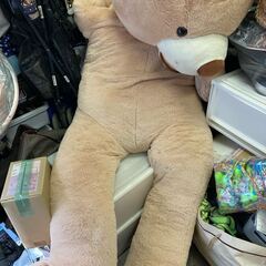 コストコ？ 大きい クマ ぬいぐるみ 熊