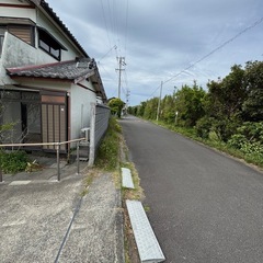 雑草抜き