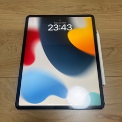 iPad Pro 12.9 cellular 512GB 