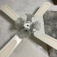 シーリングファンライト