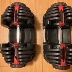 可変式ダンベル40kg2個セット　アイロテック フレックスベル ...