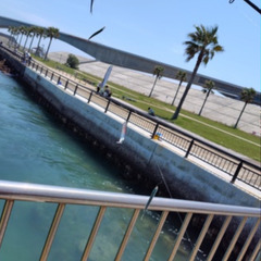 愛知近郊の海釣り🎣