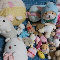 ぬいぐるみセット すみっコぐらし、キティーちゃん他の画像