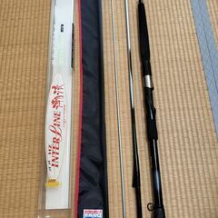 DAIWA ダイワ　潮流　30号310　30-310　HZ　イン...