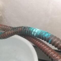 水もれ、水道メーターが使っていないのに回っている。 - 生活トラブル