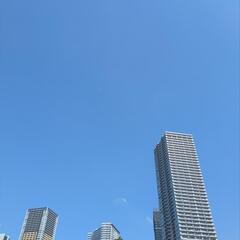 横浜や藤沢周辺でデュエマできる方を探しています！