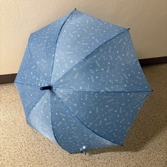 傘　の画像
