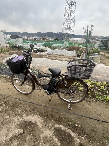 電動アシスト自転車