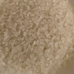 令和6年度産 お米 30キロ