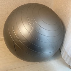 テレビを見ながらダイエット？バランスボール