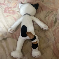 猫のぬいぐるみの画像