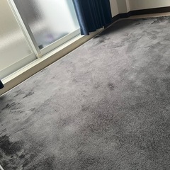 ラグかペットの画像