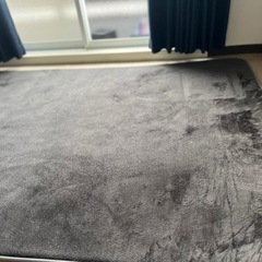 ラグかペットの画像