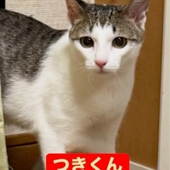 やんちゃな男の子