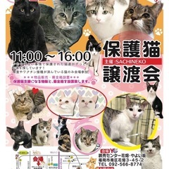 5/25 さち猫福岡　読売センター花畑・やよい坂