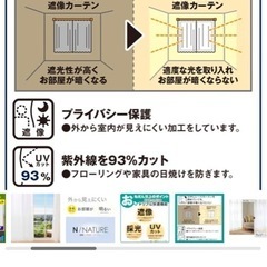 レースカーテン　ニトリの画像