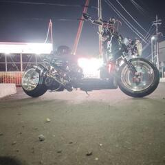 ホンダZOOMER150ccの画像