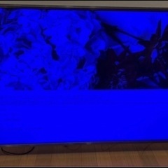 LG 49型テレビ 49UJ6100
