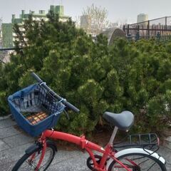 折り畳み自転車譲ります