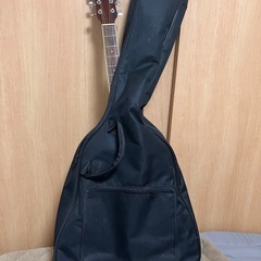ギターLegend by Aria FG-15N の画像