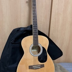 ギターLegend by Aria FG-15N 