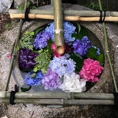 お出かけ仲間募集❕