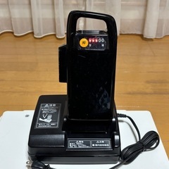 Panasonic 電動アシスタント自転車用バッテリーの画像